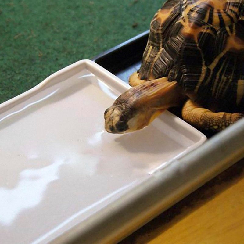 OMEM Reptile Bowl Large Food and Water Dish Enough Space Also Fit for Bath Simulated Wood Grain Surface (M, White) - Image 2
